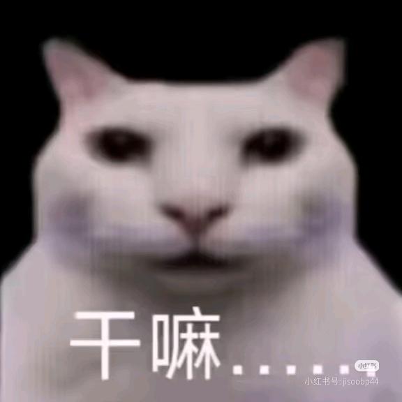 尔多龙吗