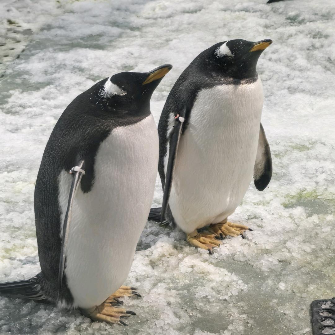 确认过眼神遇见对的人