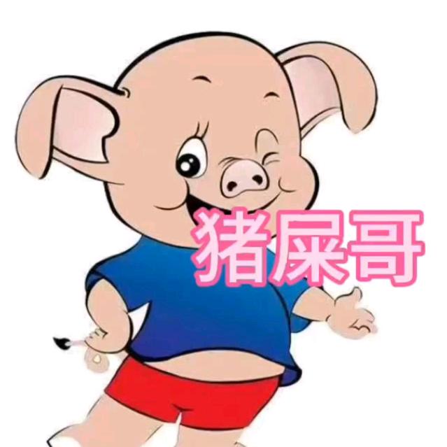 猪屎哥🐷徐闻小伙