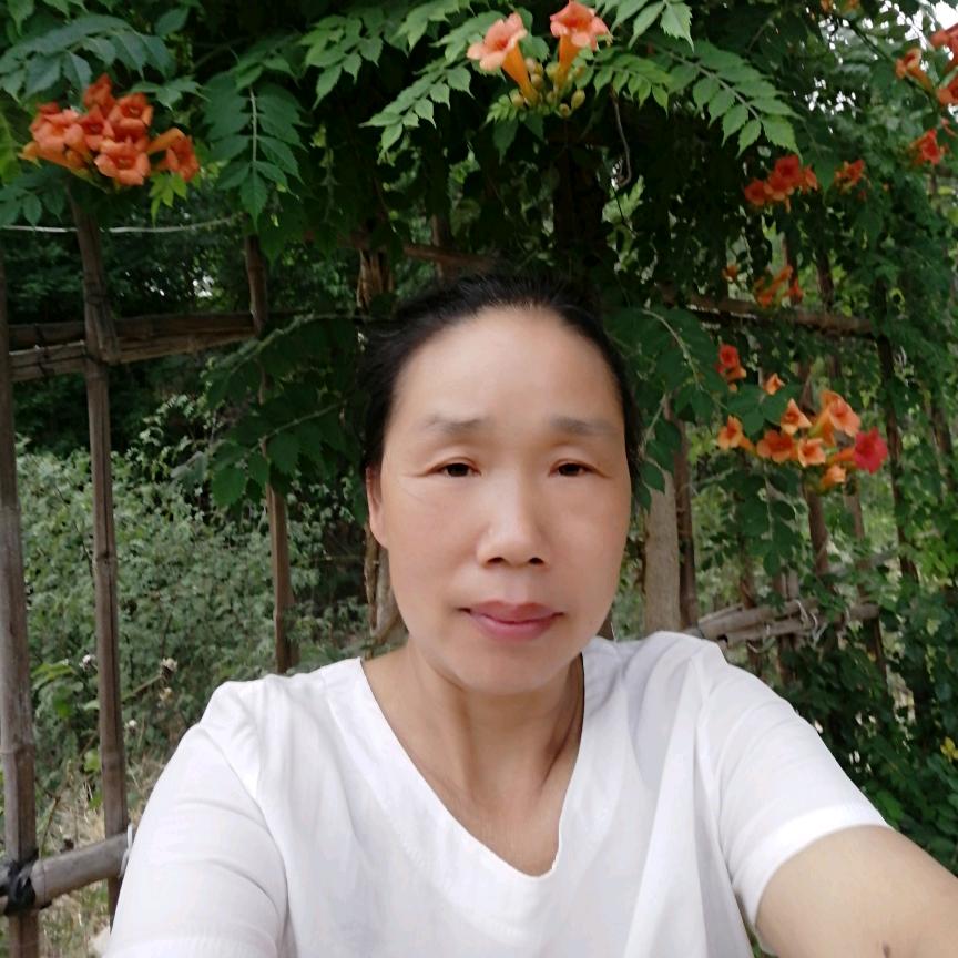 快乐鱼儿