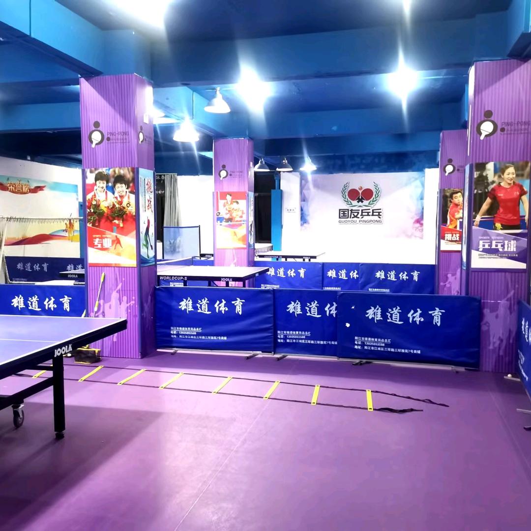 茂名国友乒乓球俱乐部—体育中心店