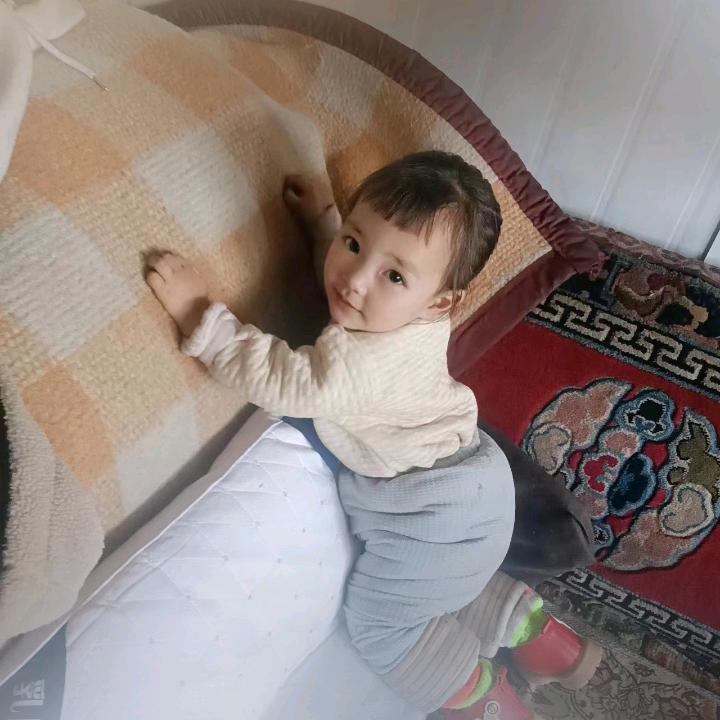 拉吉