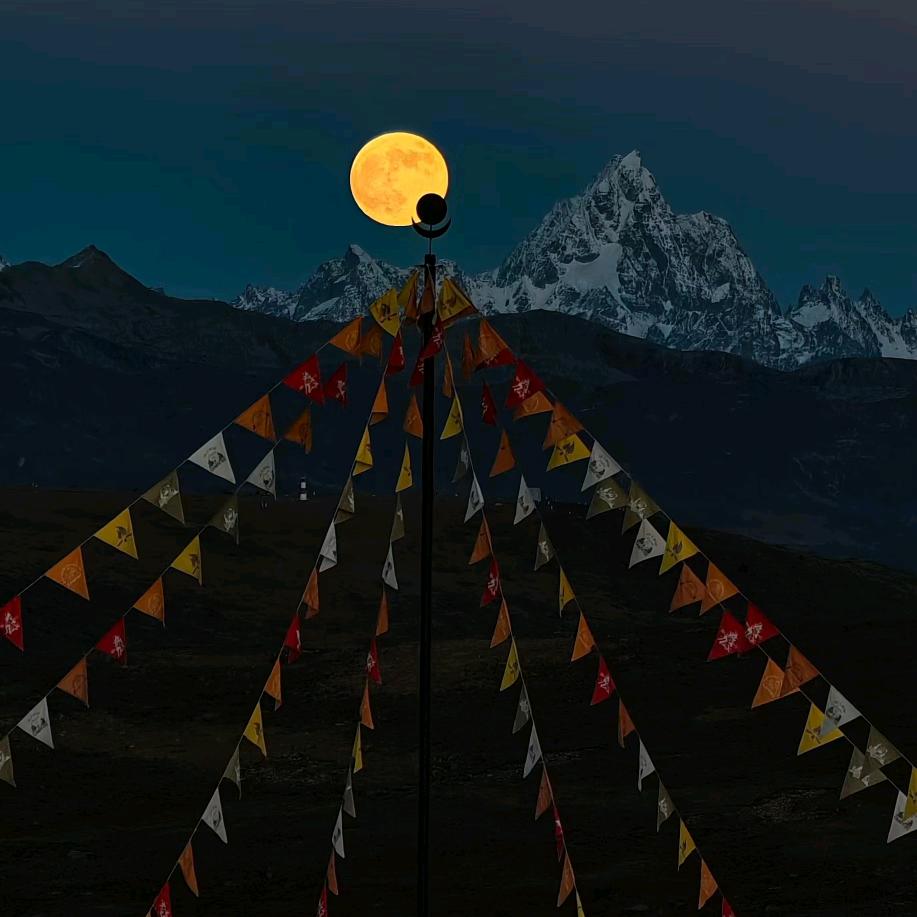 👉康༒降央👈