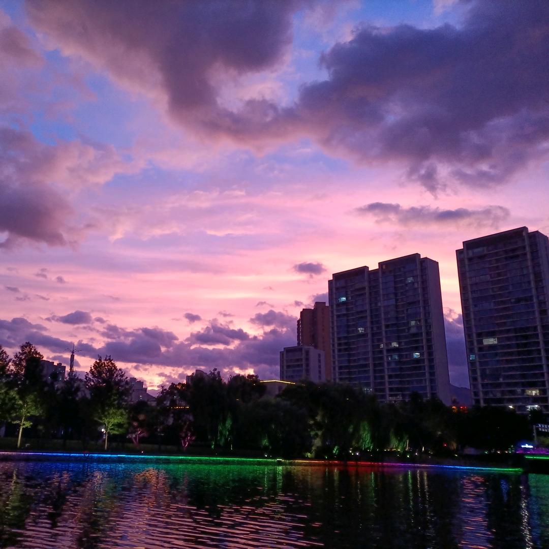 跨境物流-杨