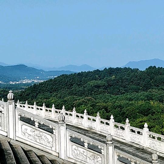 已 己