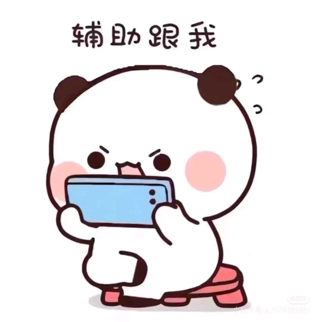 老高