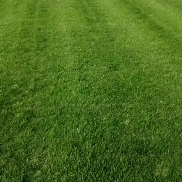 老四园林绿化有限公司