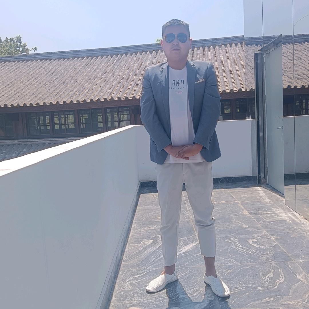 侠总