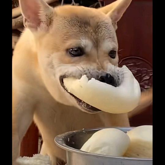 事实证明系