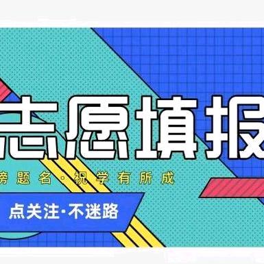 百姓升学规划陈老师