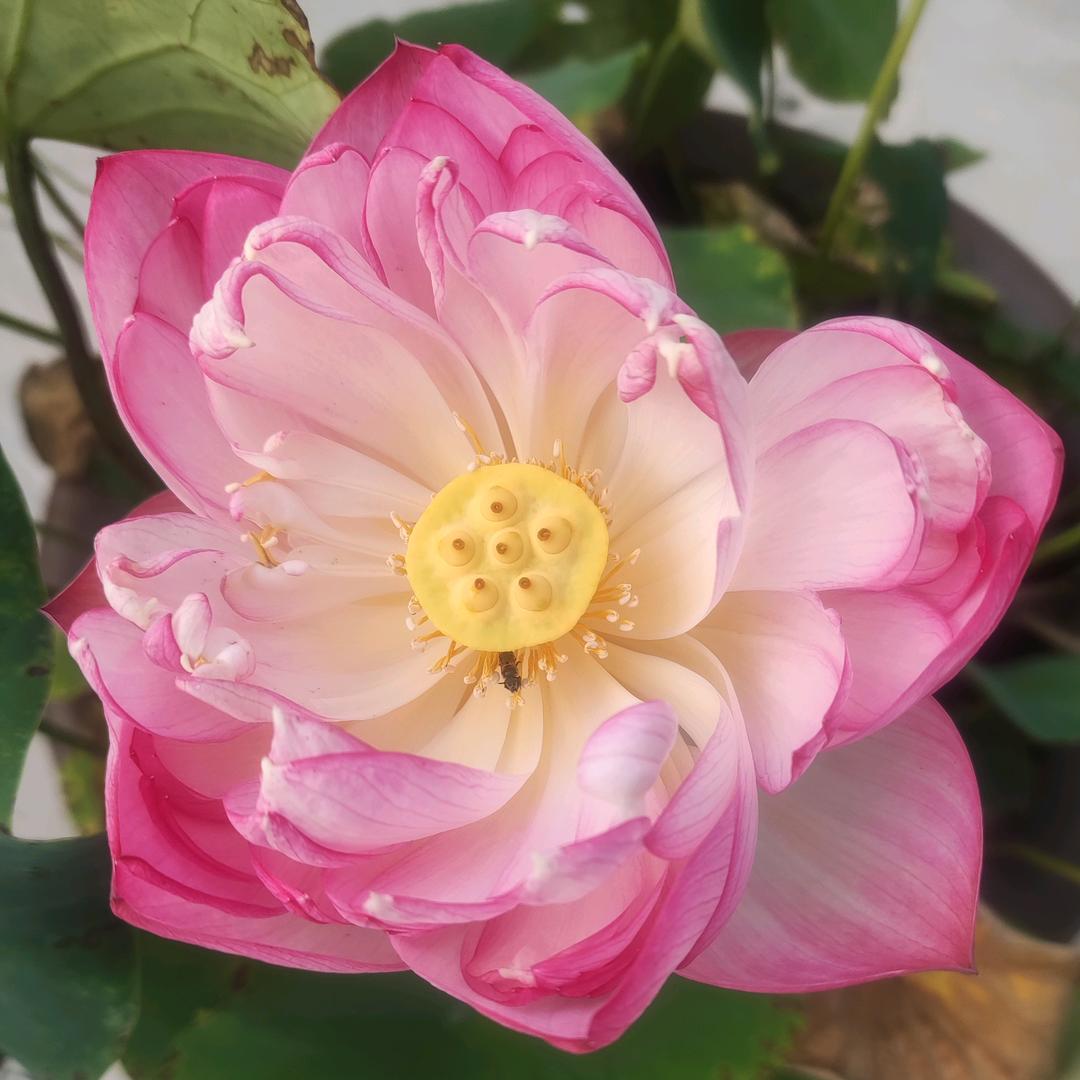 余生，我独自坚强