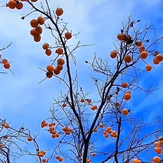 漂流