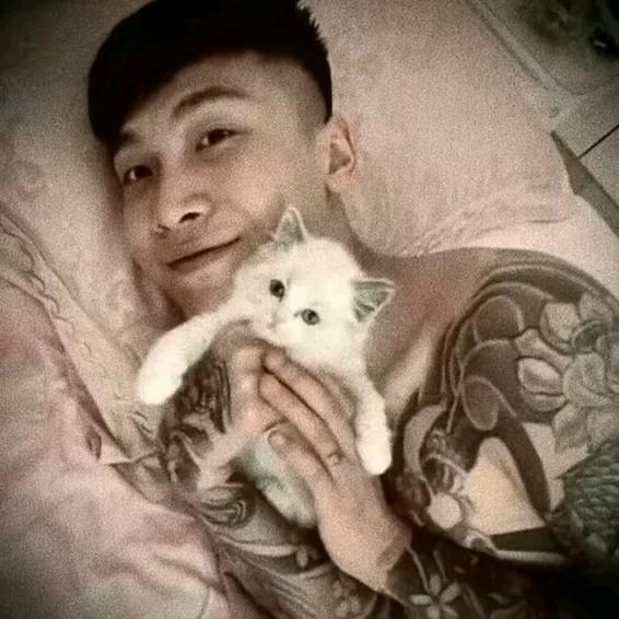 你的洛📿（备考中👊）