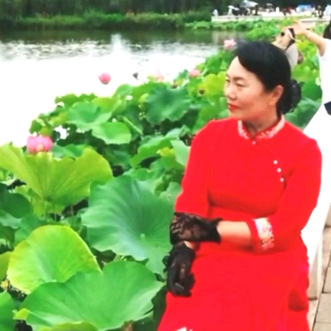 🌺小仙👗