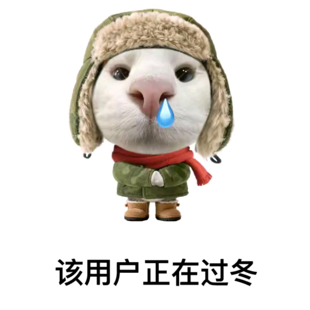 两点前一定睡 🥥⁰¹⁷