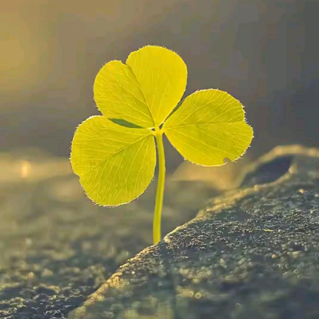 抖抖更健康😂😂