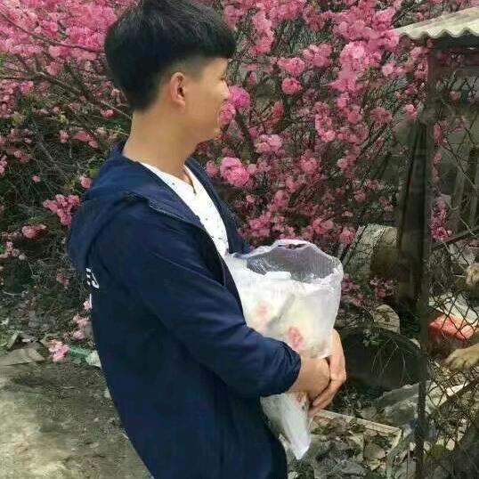 三十回家养老