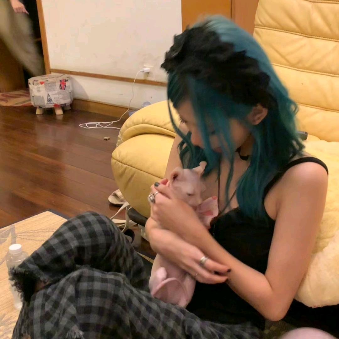 鸡梦瑶
