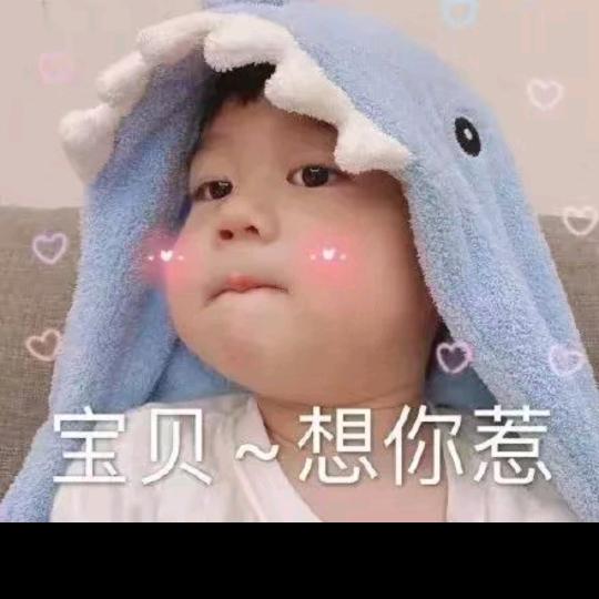 明明爱睡觉😪