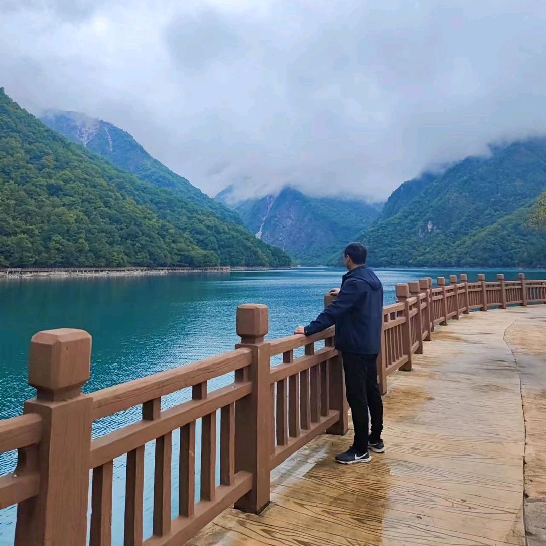 西北骆驼