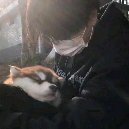 我不是舔狗