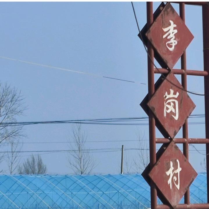 林七东八里村