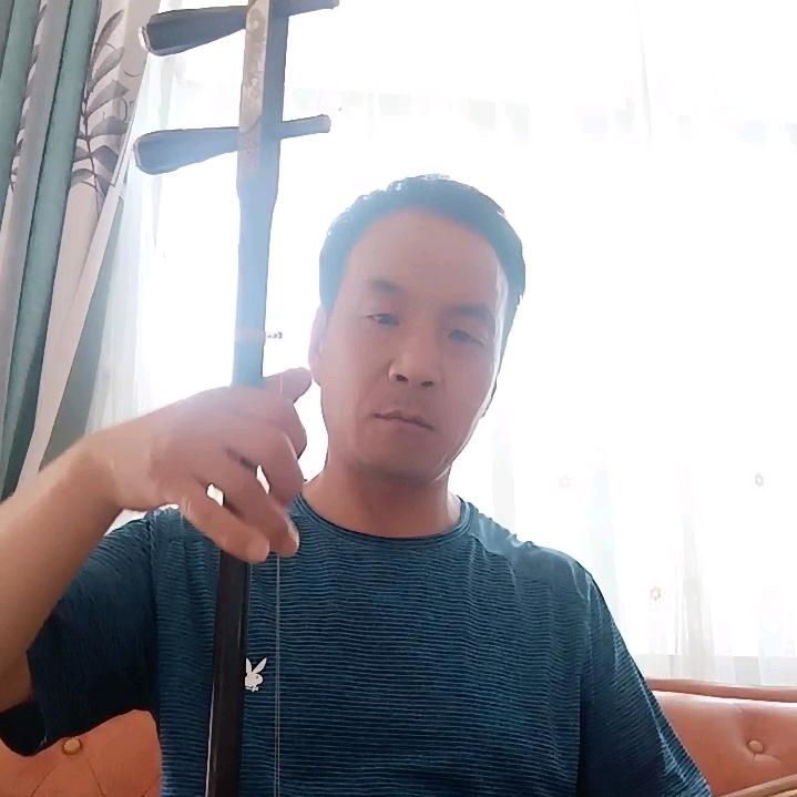 温柔的港湾