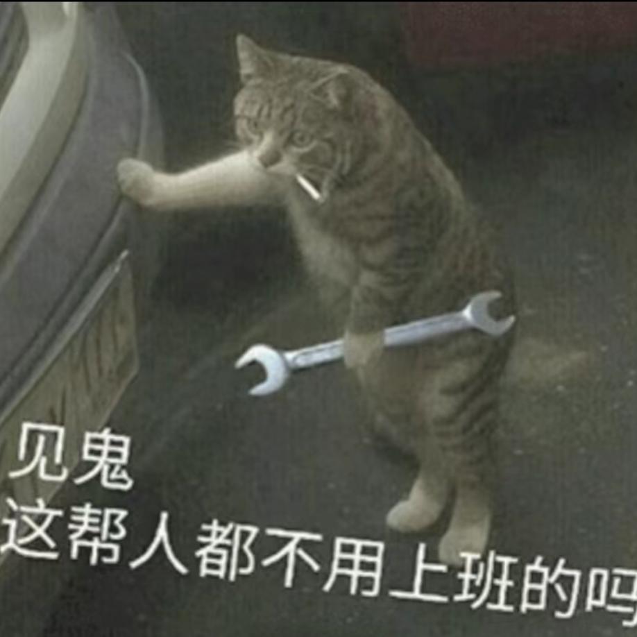 是花僮啊