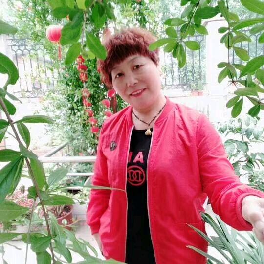 渡口小院早上8点十分开播