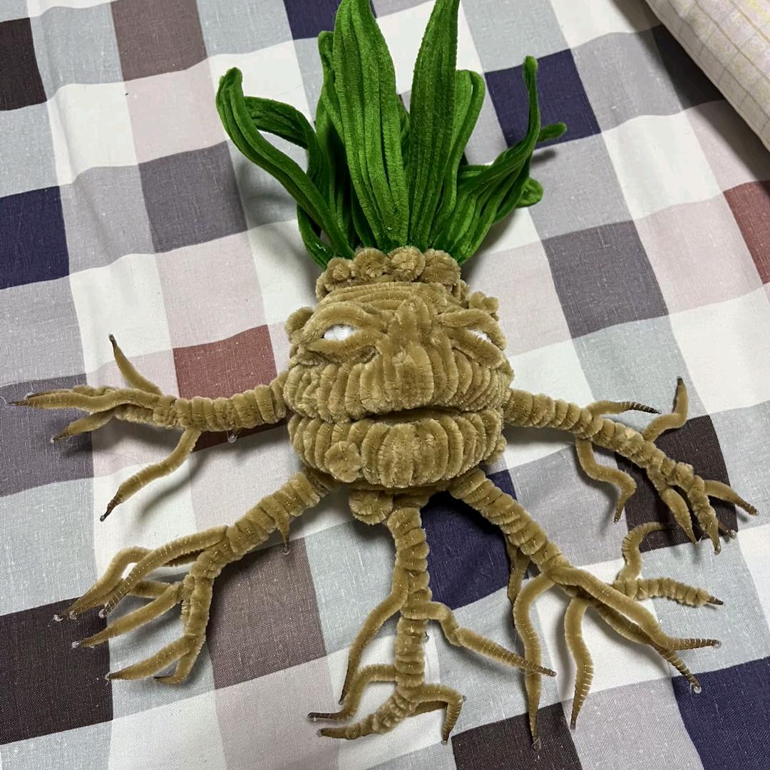植间维度