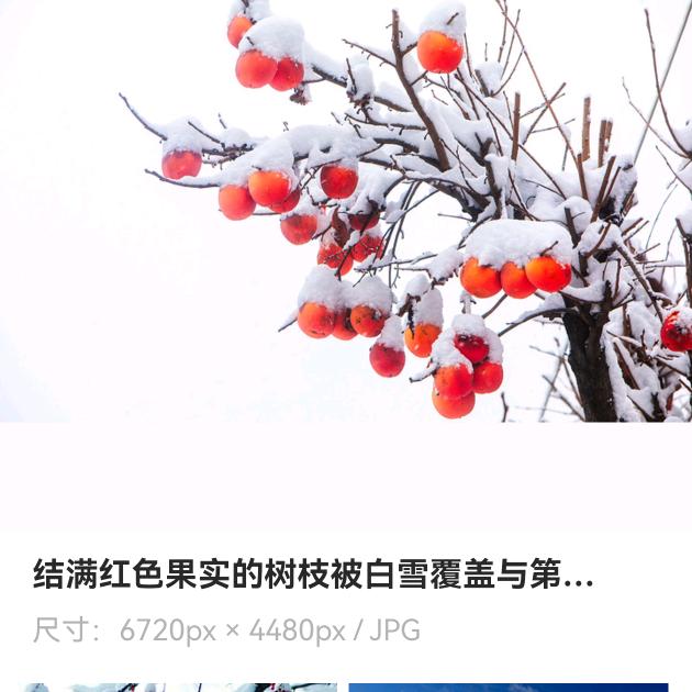 （去看雪）一心向北