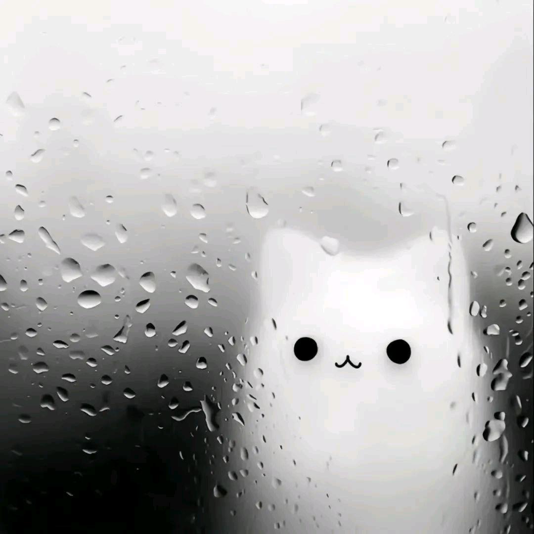允白