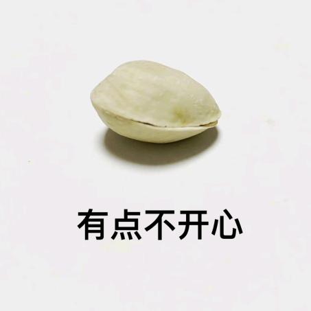 一朵大珍珠