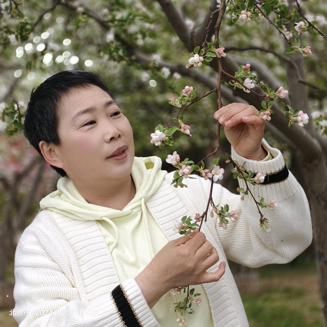 清晨的一缕阳光
