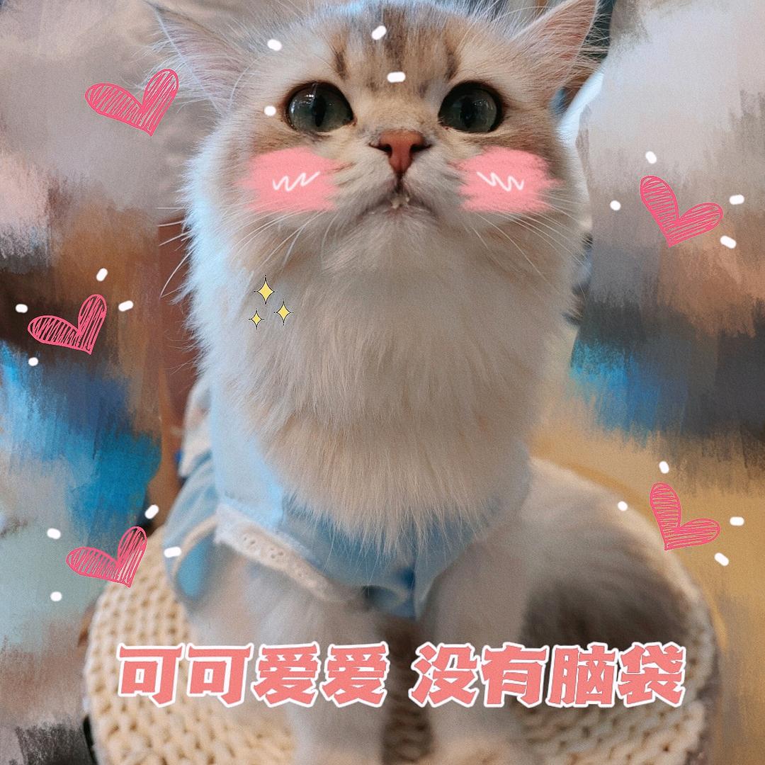 只冬动漫