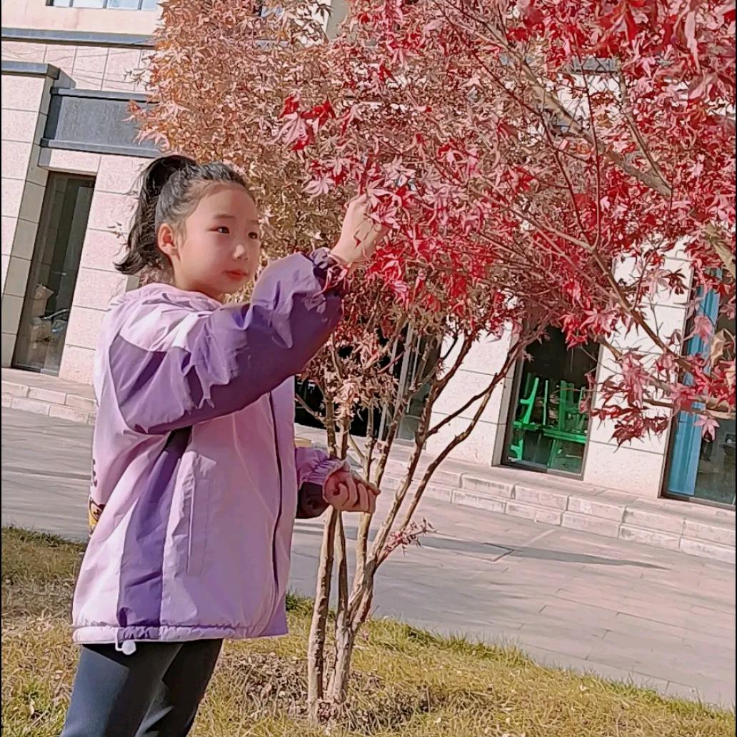 开心的小熠