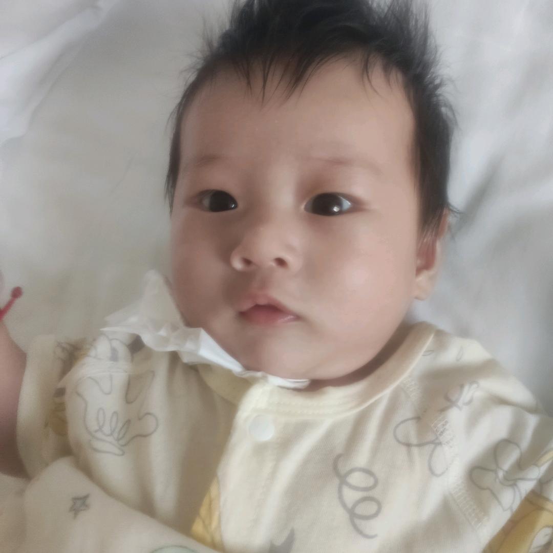 单身小天鹅