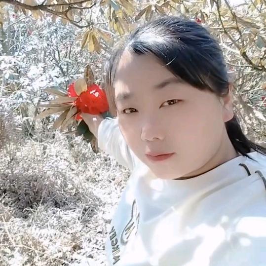 兰心🌴🌹💖冰月