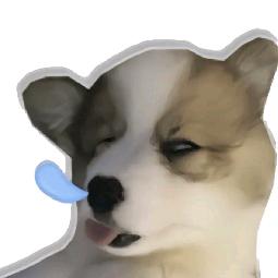 雨可怪