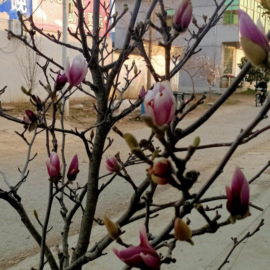 开开心心每一天