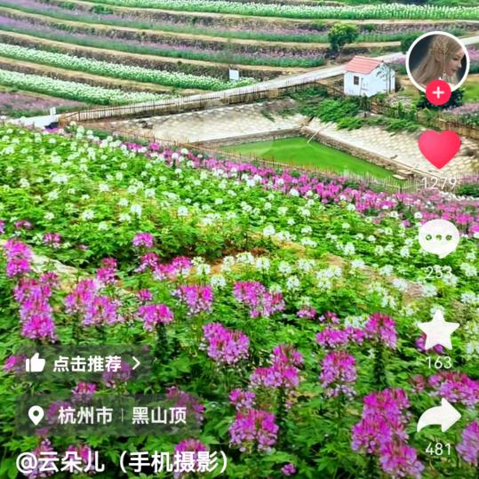 用户8638955255286