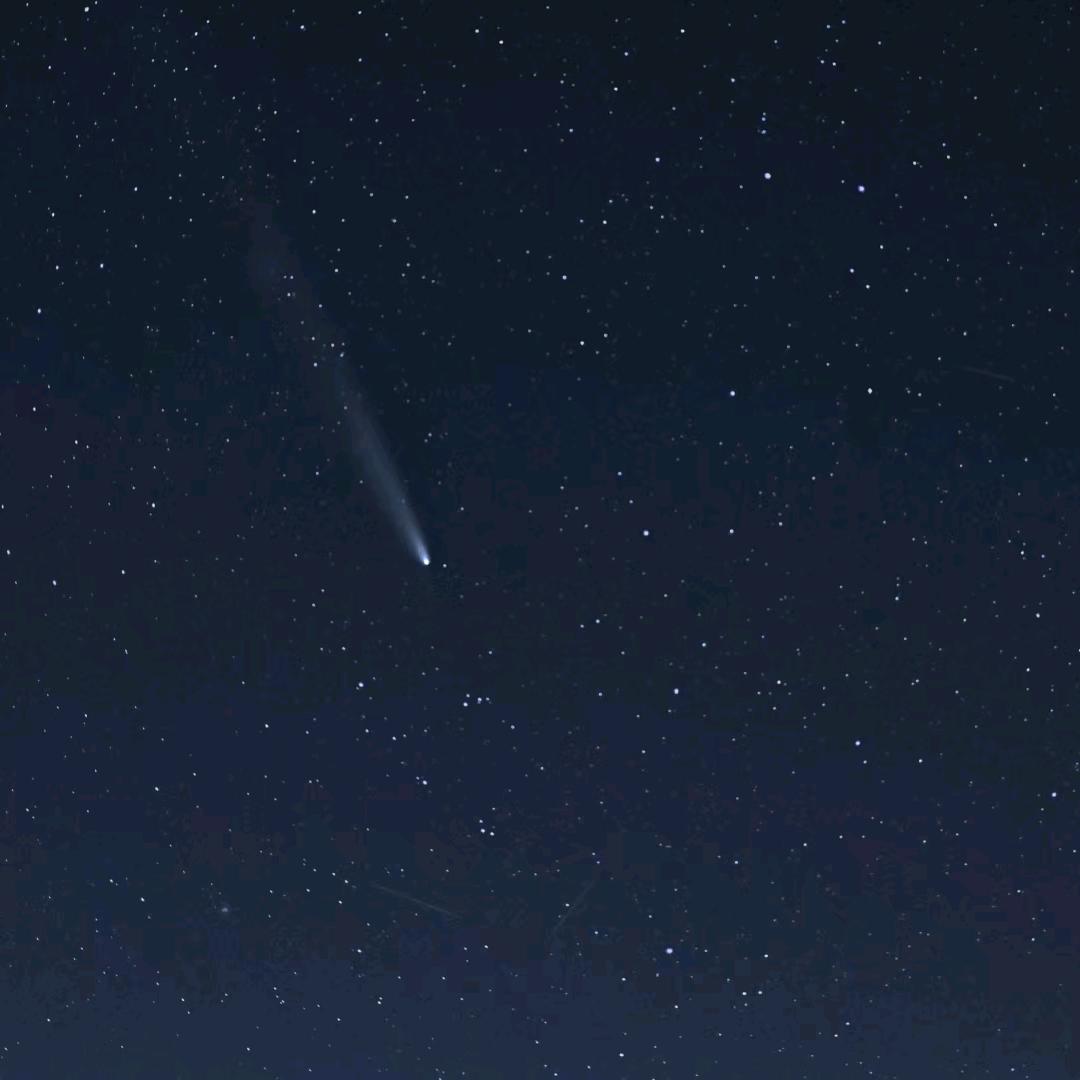 片语