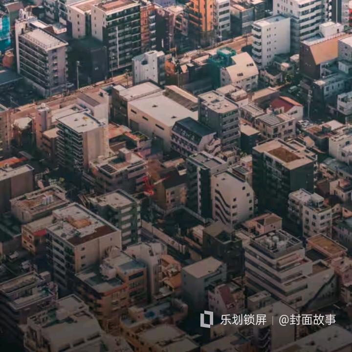 老陆