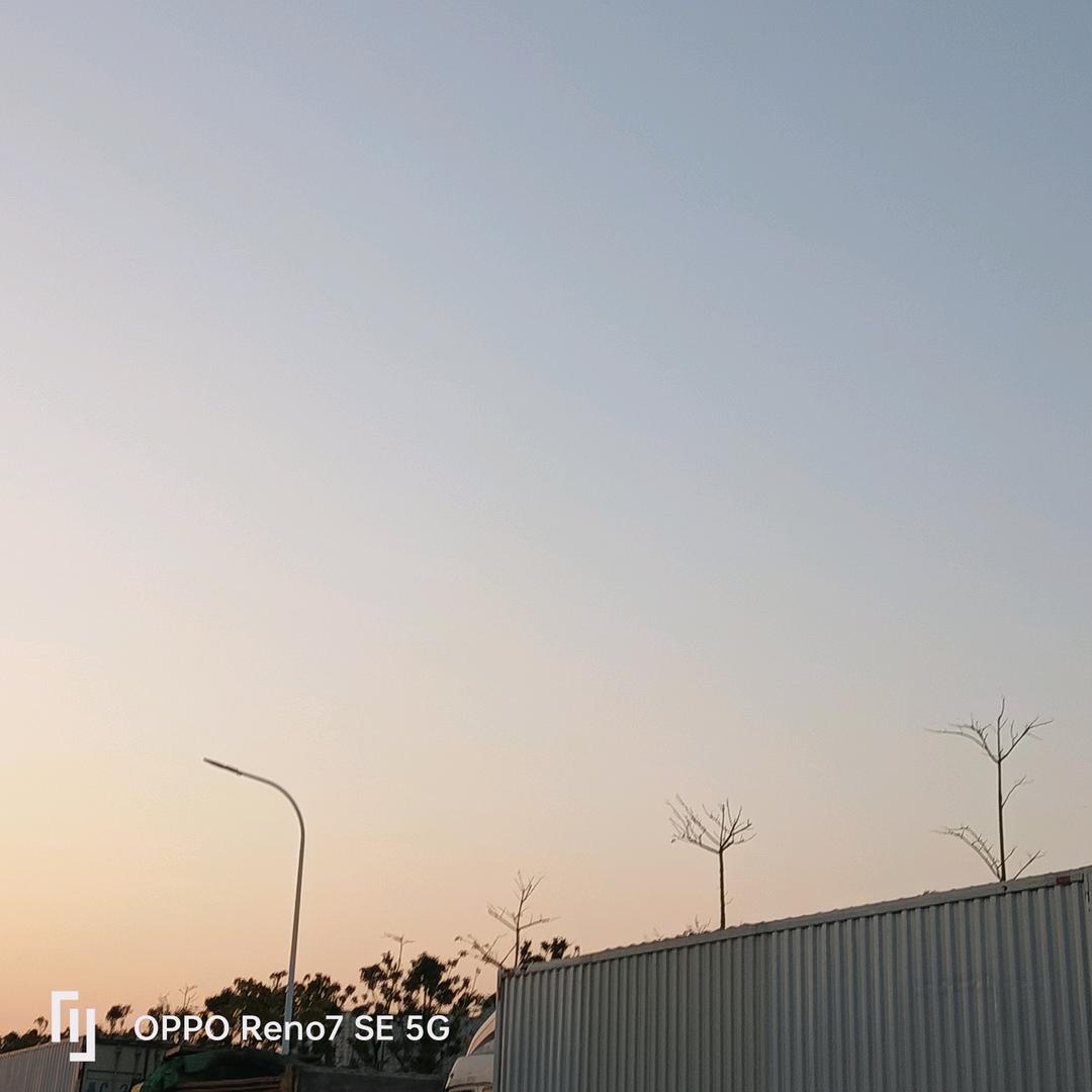 小柚