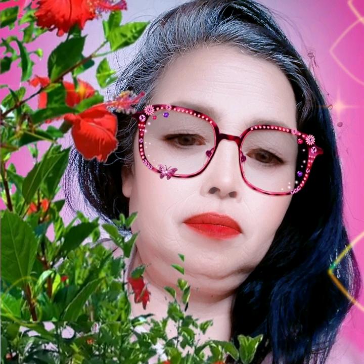 福财好运连连