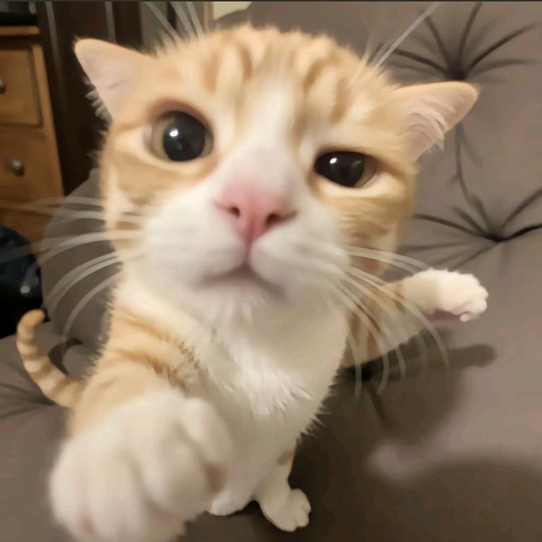 因为长的太美被91名大叔轮流摸头