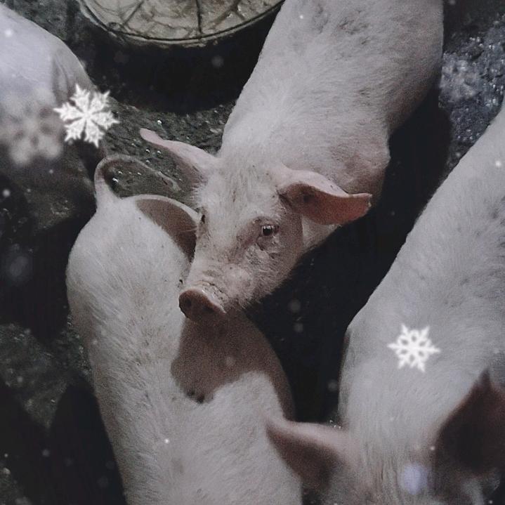 快乐一身