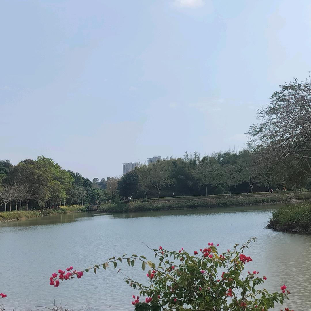 阳阳