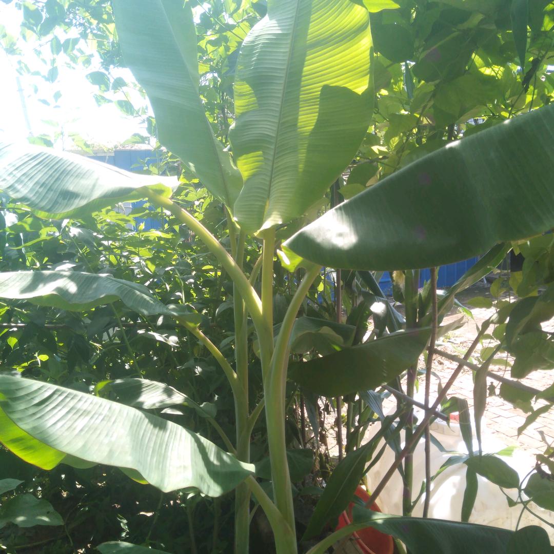 一竿一线一江湖