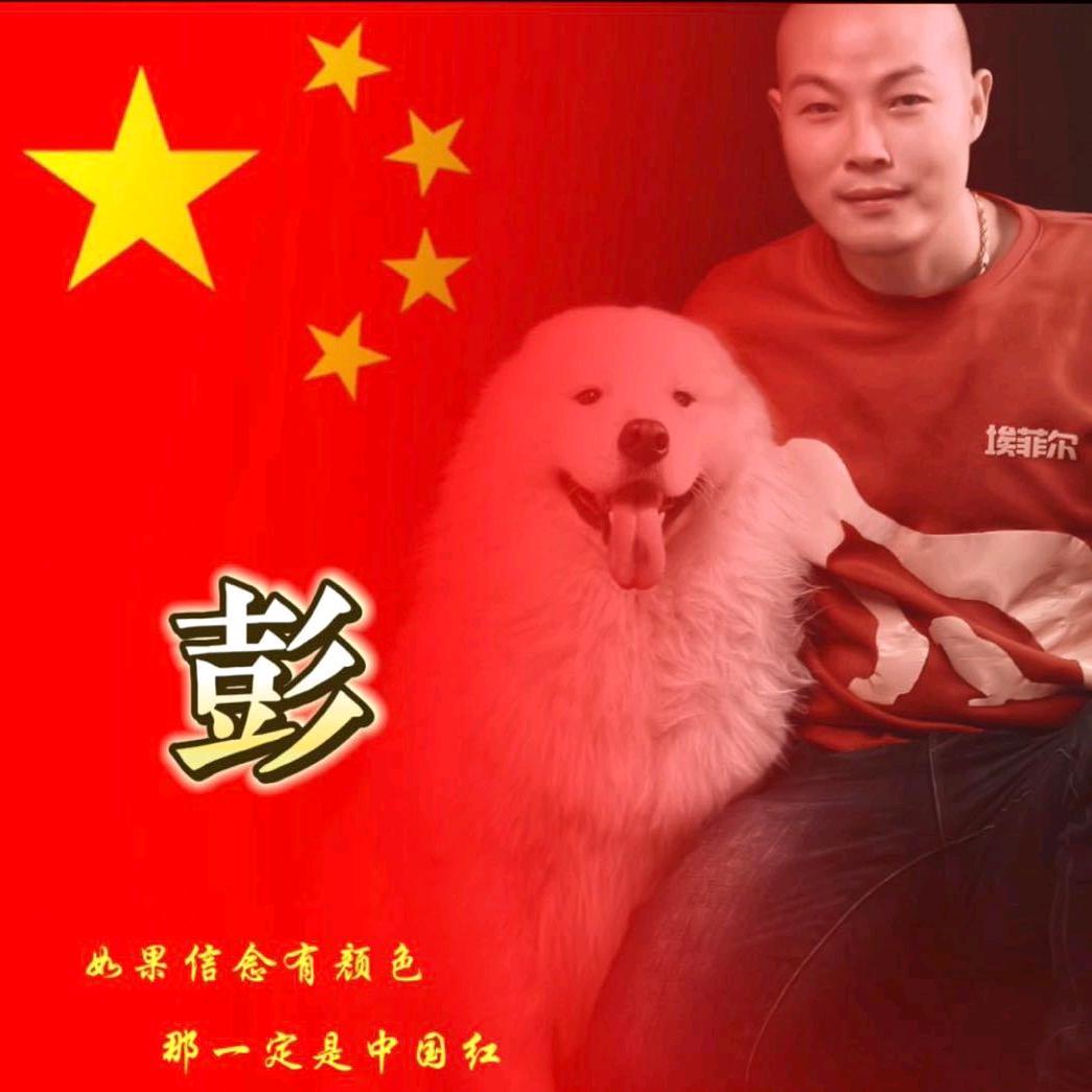 埃菲尔宠物店《东莞长安》